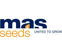 Mas Seeds