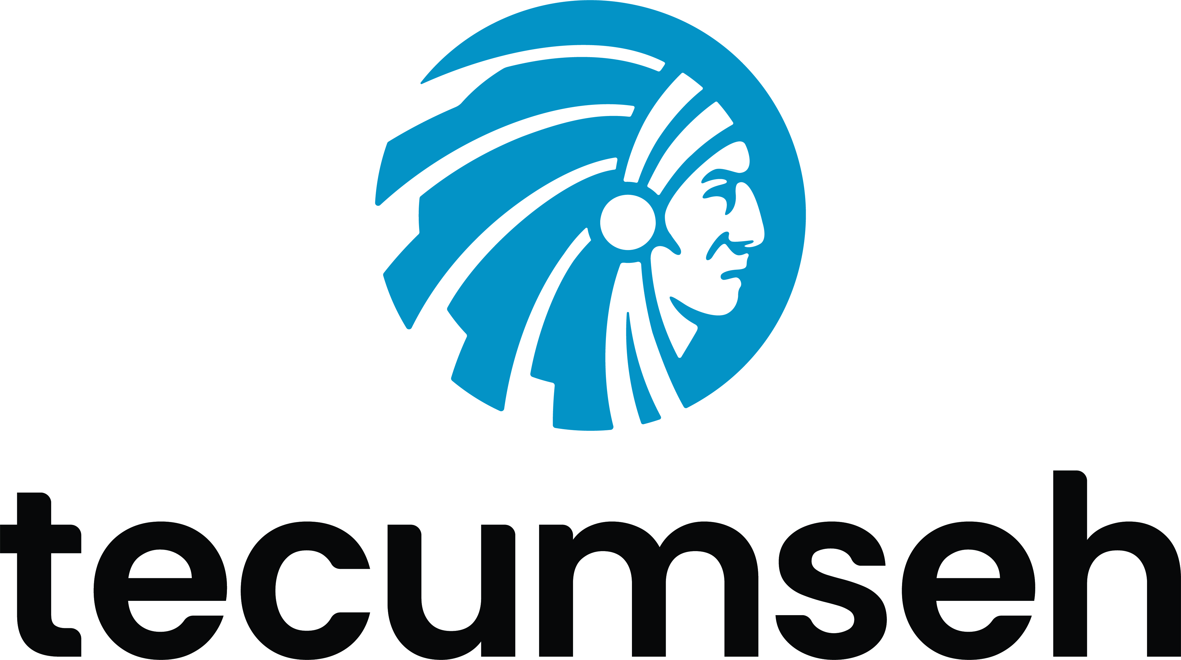 TECUMSEH CESSIEU SAS